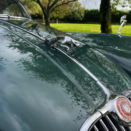 1959 Jaguar XK150 Fixed Head Coupe